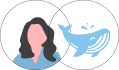 DF Web icon